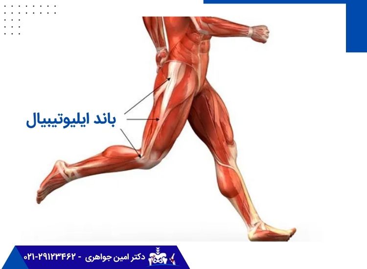 باند ایلیوتیبیال