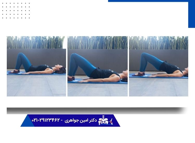 تمرین پل زدن