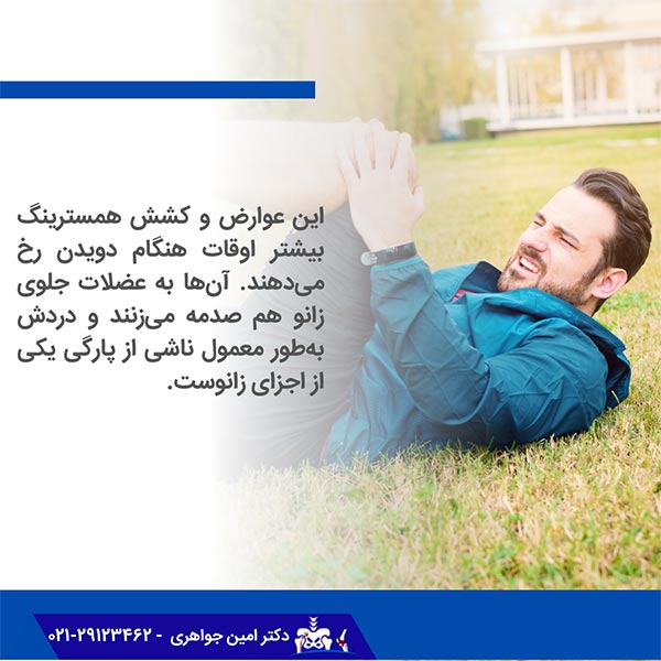 حرکت لگن و مفصل ران