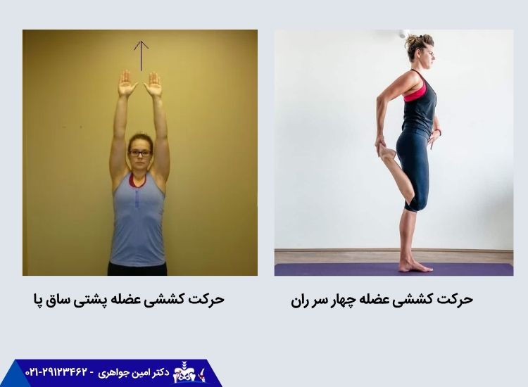 حرکات کششی عضلات