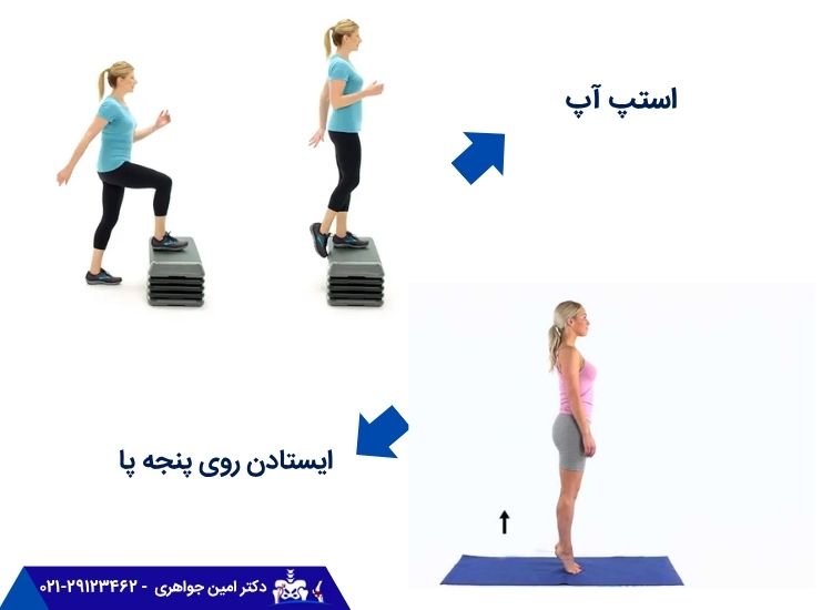 حرکت استپ آپ و ایستادن روی پنجه پا