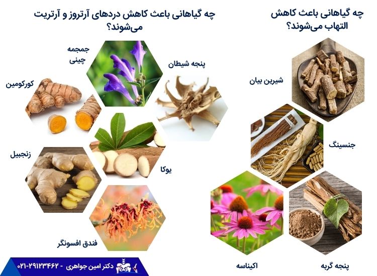 داروهای گیاهی برای درد لگن